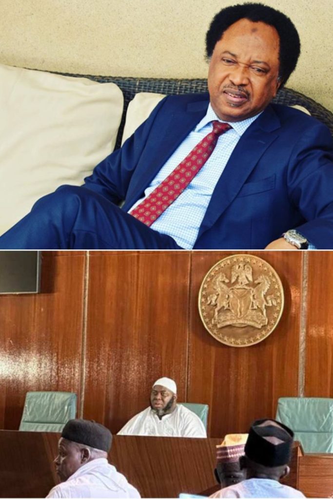 A Mosquito Is Sitting On Our Scrotum’ – Shehu Sani Reacts To Asari Dokubo’s Comment On Niger
