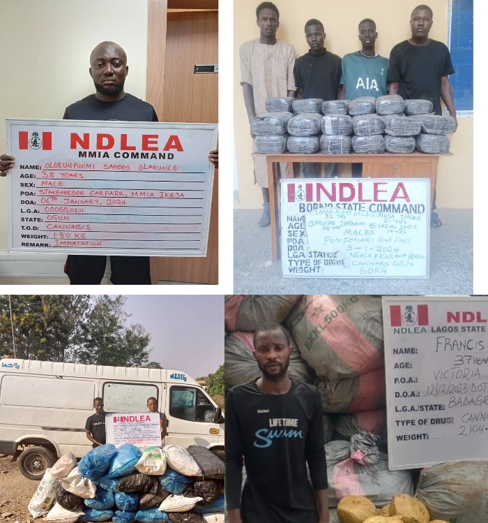 NDLEA Intercepts ‘Colos’ Consignment On New Year Day, Arrests Bandits’ Arms Supplier [Photos]