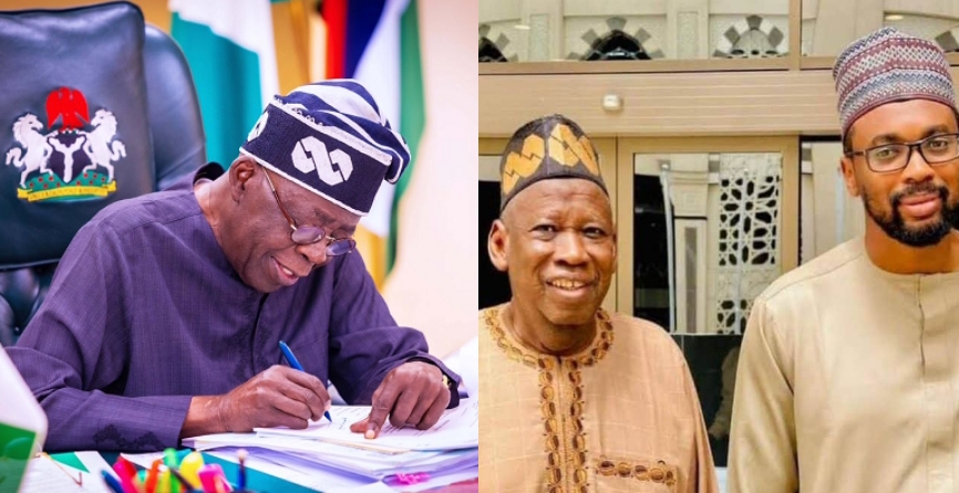 Padi Padi Business - Nigerians Reacts As Tinubu Appoints Ganduje’s Son As REA Executive Director