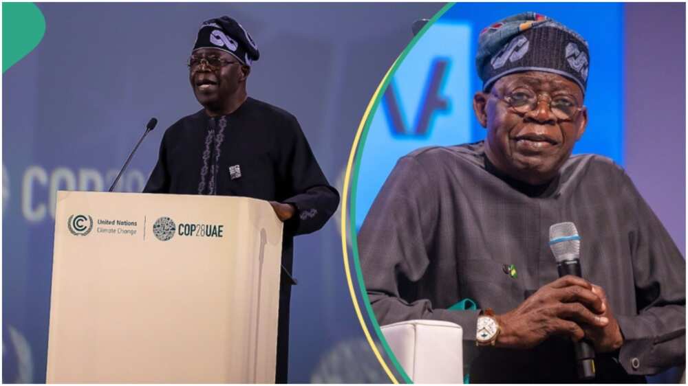 Controversy Surrounds President Tinubu’s Claim Of $600m Maersk Investment At Nigerian Ports