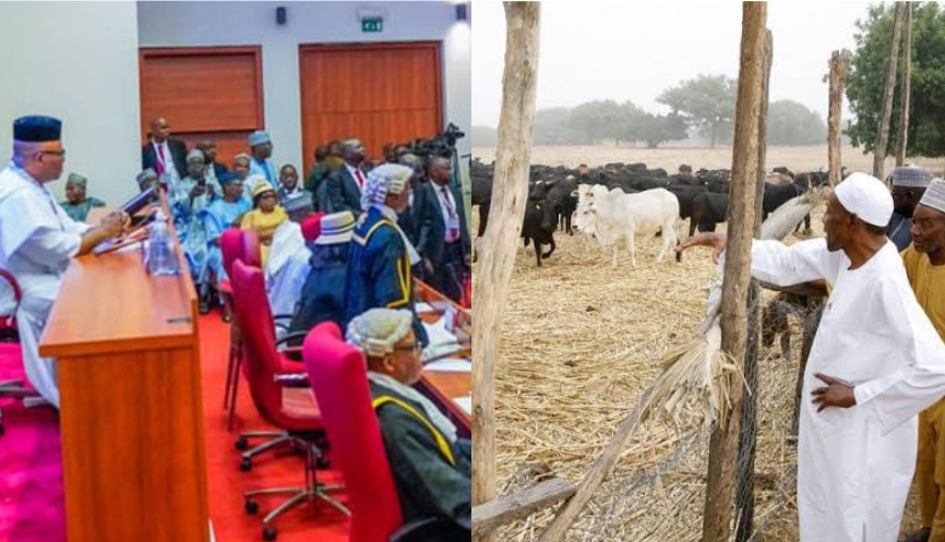 Senate Passes Bill Regulating Cattle Rearing Business In Nigeria