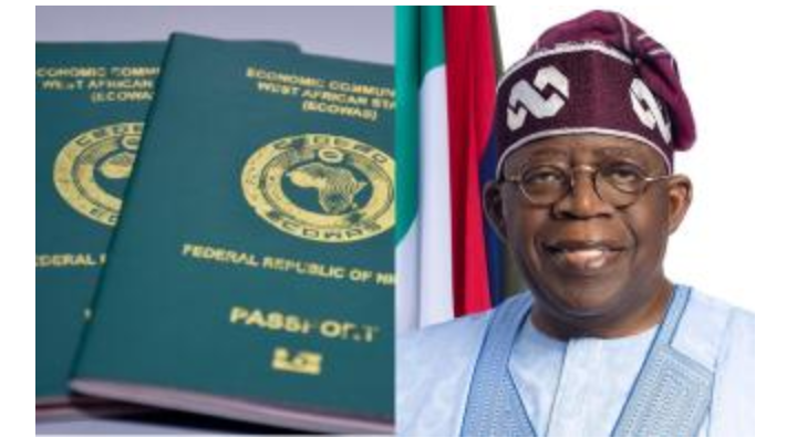 Nigeria Passport Are Treated With Disdain In Foreign Countries – FG Laments
