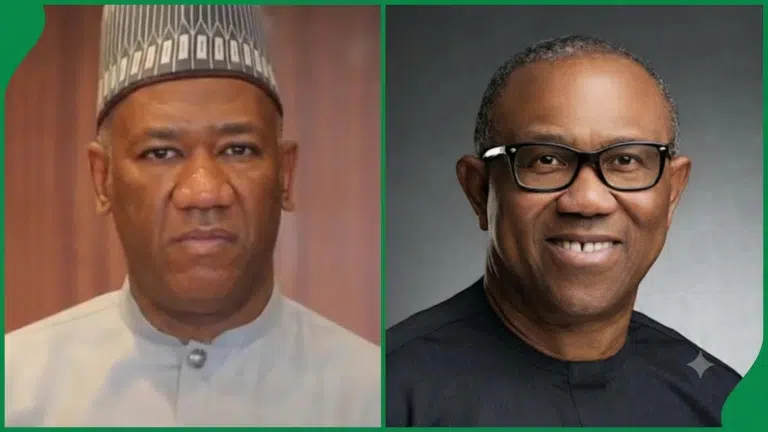 2027: Stop Attacking Peter Obi And Move On - NDC Chieftain Tells Datti Baba-Ahmed