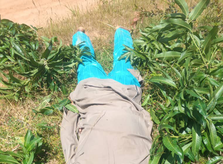 Suspected Fulani Militias K!ll Christian Leader In Plateau
