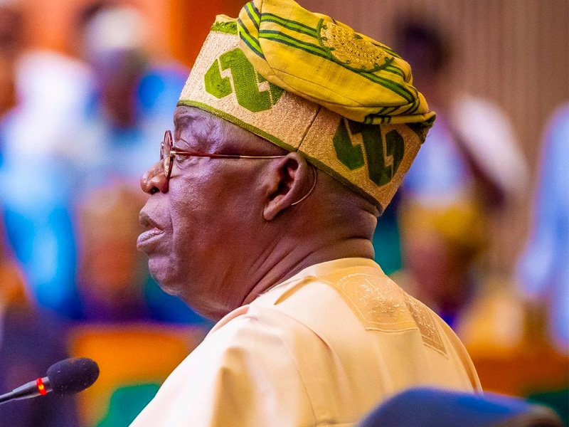 Fake Agencies Scandal: Nigerians Demand Answers From Tinubu Government