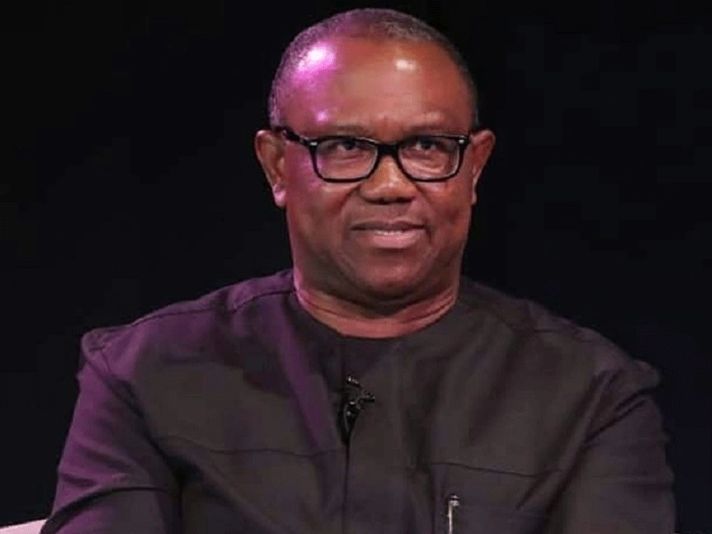 'Peter Obi Was Lured Into NDC, He’s Trapped'