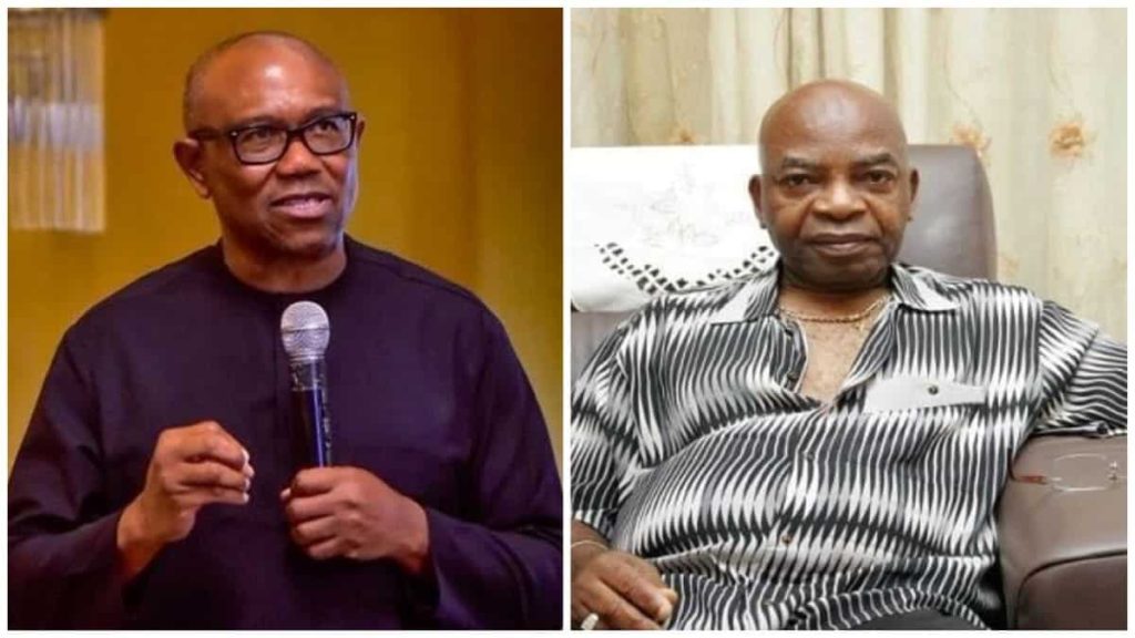 Peter Obi Reacts To Arthur Eze's Comment 