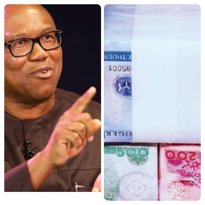 What Nigerians Should Do About Cash Scarcity - Peter Obi 