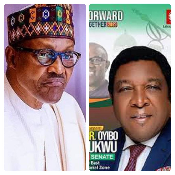 Buhari Orders Immediate Arrest Of Killers Of Labour Party's Oyibo Chukwu