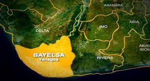 Breakdown Of Results For The Presidential Election For Bayelsa State