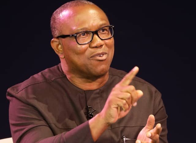 I’ll Transform Sambisa Forest To Farmland - Peter Obi 