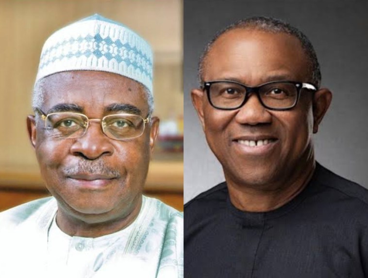 Theophilus Danjuma, Christian Elders Forum Endorses Peter Obi For President 