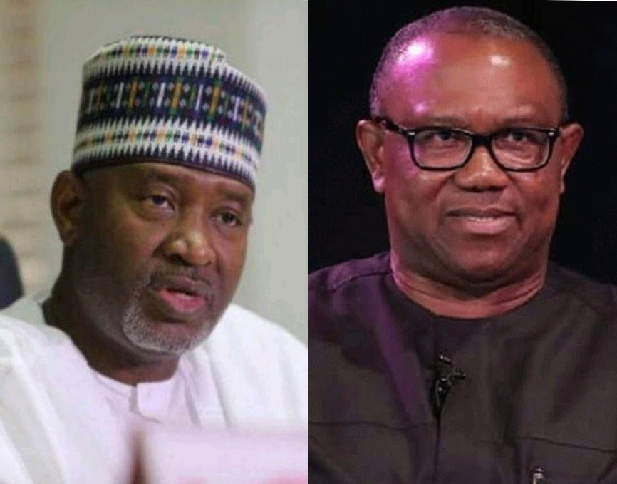 Good Works Plus Social Media Means Victory - Abubakar Sirika Commends Obi, Supporters