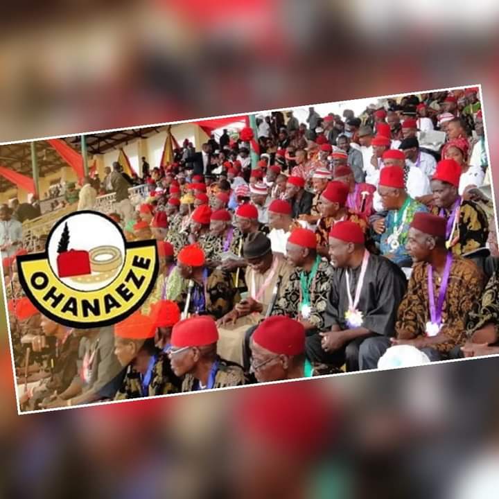 It Will Be Challenged In Court - Ohaneze Ndigbo Says As They Rejects Result Of Presidential Election