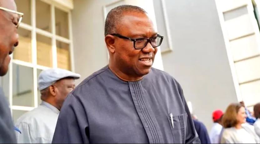 20 SANS Line Up For Obi To Challenge Feb 25 Election Result, Tinubu Camp Reacts