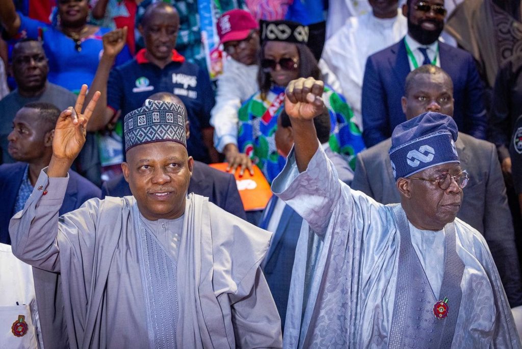 Our administration will observe rule of law - Shettima