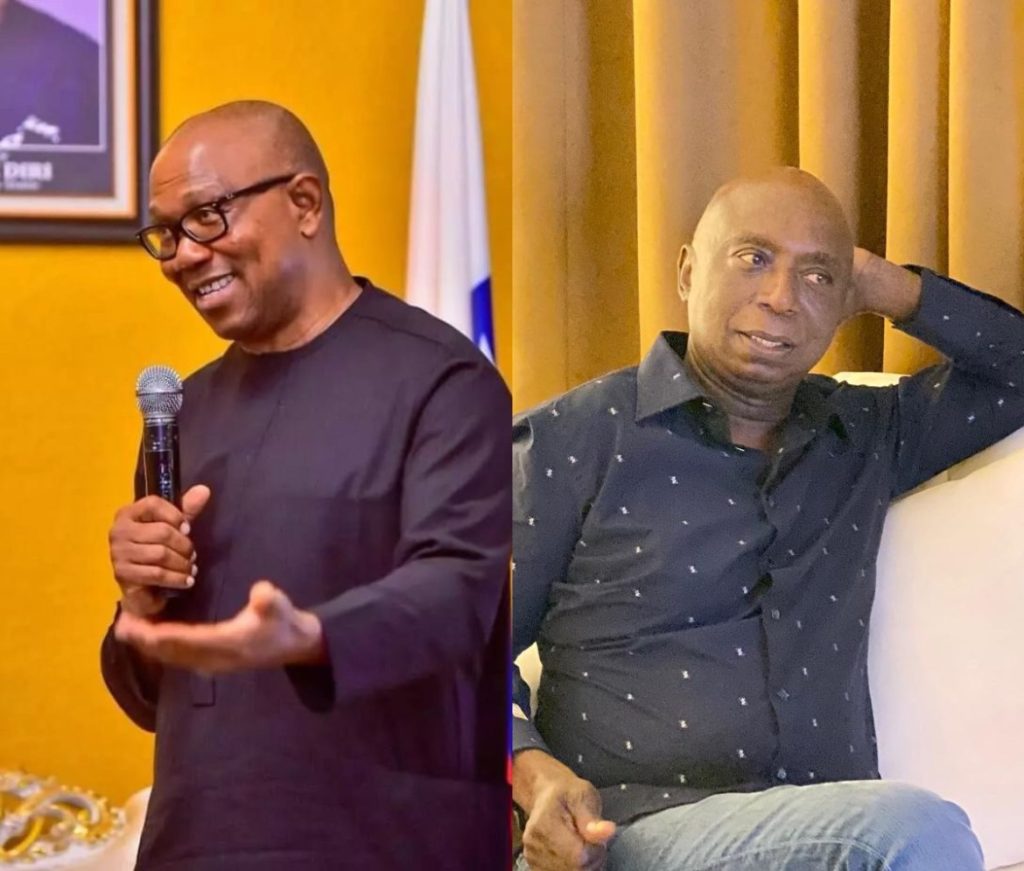 Peter Obi’s Petition Against Tinubu Is An Effort In Futility - Ned Nwoko