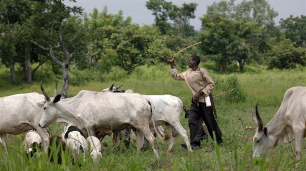 Benue Govt Suspends Anti-Grazing Ban Enforcement