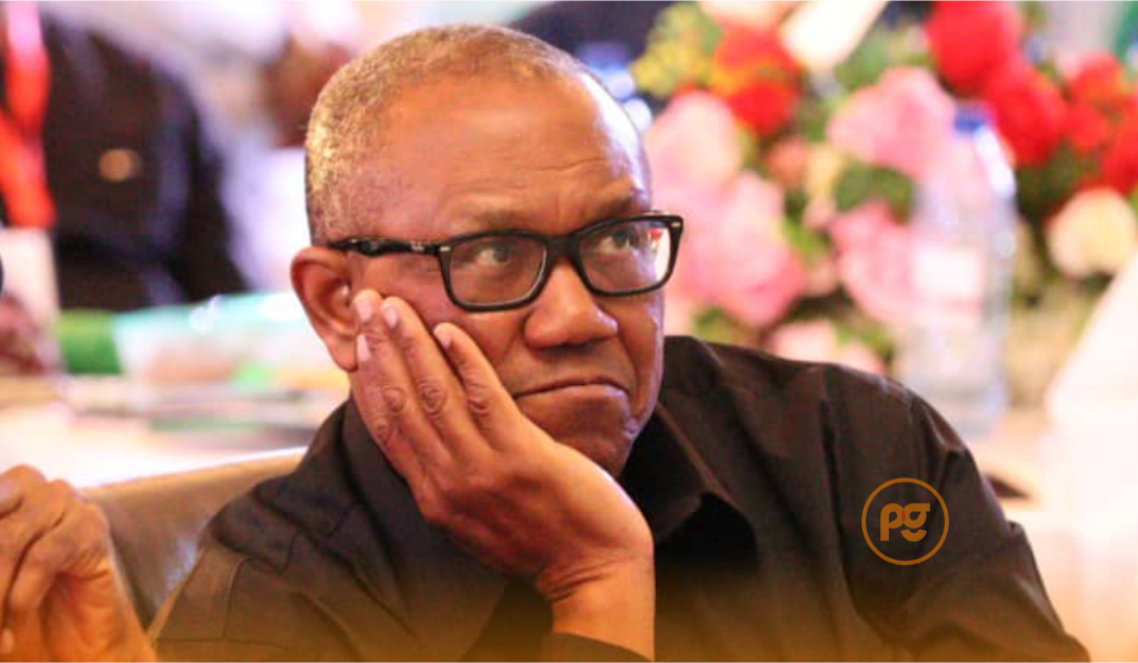 I’m Being Pressured To Leave Nigeria – Peter Obi