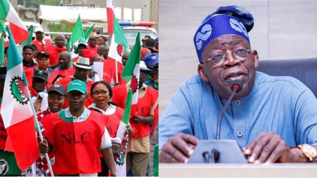 Same Move You Rejected During Jonathan’s Government - NLC Knocks Tinubu Over Subsidy Removal 