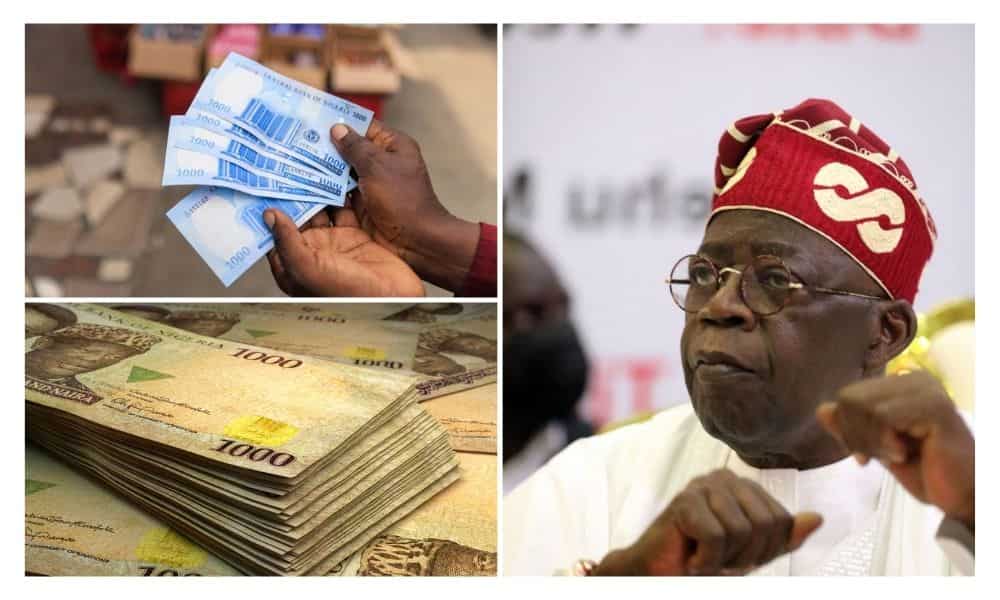 Naira Falls to 760 Per Dollar Ahead of Tinubu’s Inauguration, NASS Leadership
