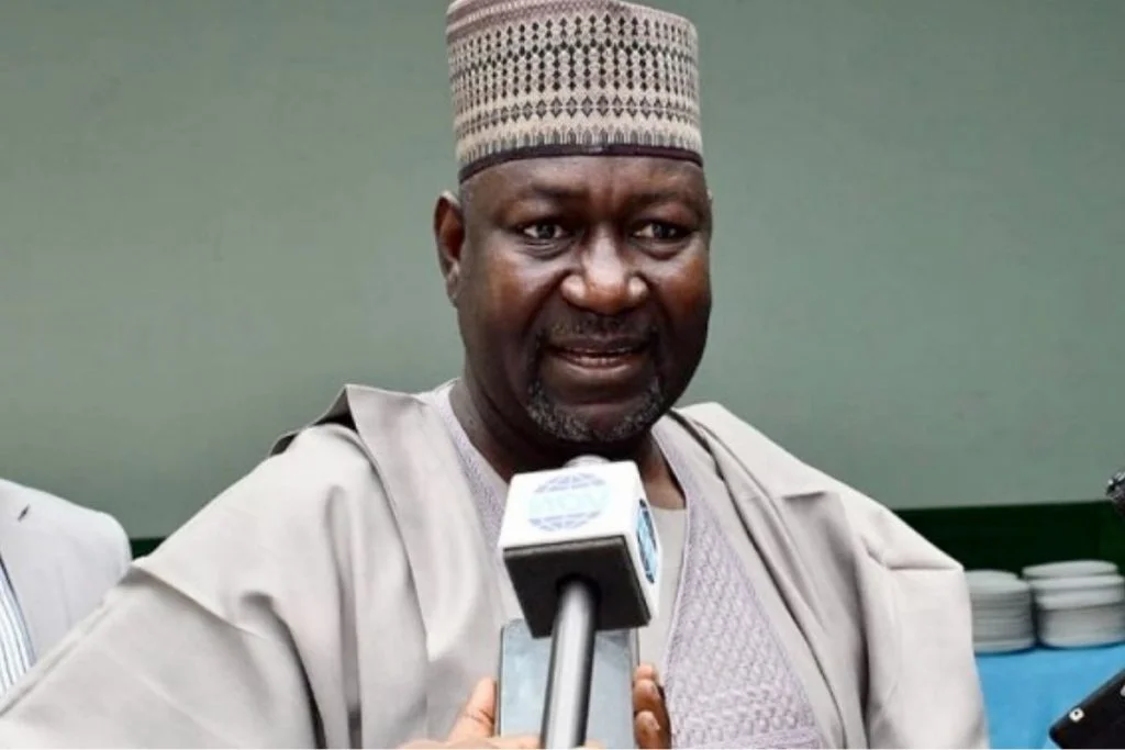 Nigeria’s electricity bill cheapest, most defaulted – Power Minister