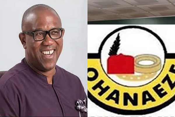 Accept 2023 Presidential Election Outcome – Ohanaeze Tells Obi