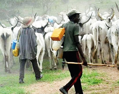 Herdsmen Reportedly Rape 80-year-old Woman To Death On Her Farmland 