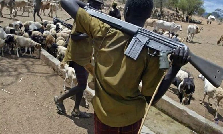 Insecurity: Again, Herdsmen Reportedly Kill 18 Residents in Benue