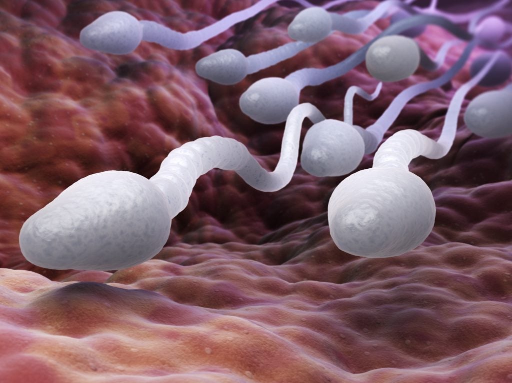 Find Out Factors That Causes Declining Sperm Counts And Solutions To It