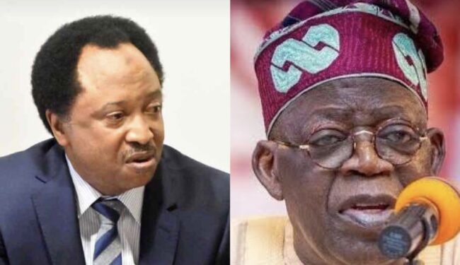 Shehu Sani Reacts As Tinubu Removes Fuel Subsidy