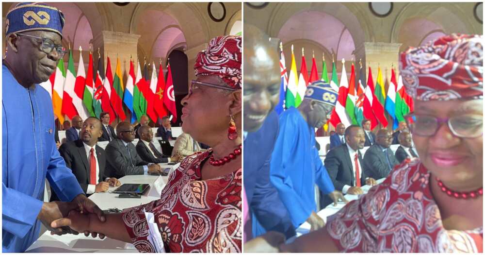 Tinubu: Attacks Between Obi-dients, BATists Show Depth Of Nigeria’s Polarisation – Okonjo-Iweala