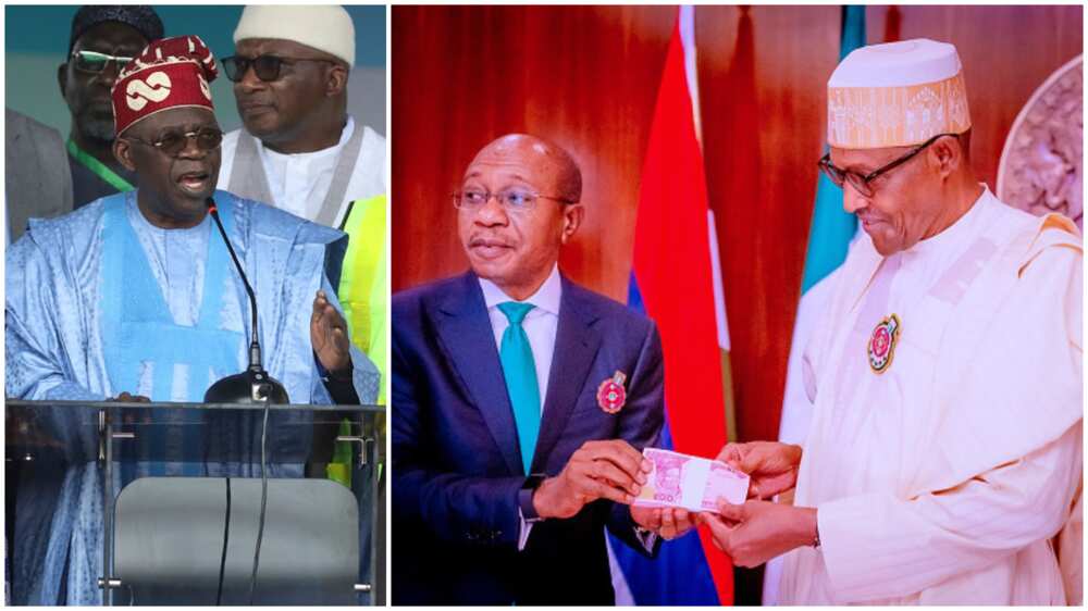 Buhari’s Cashless Policy Didn’t Work, Our Money Was Confiscated – Tinubu