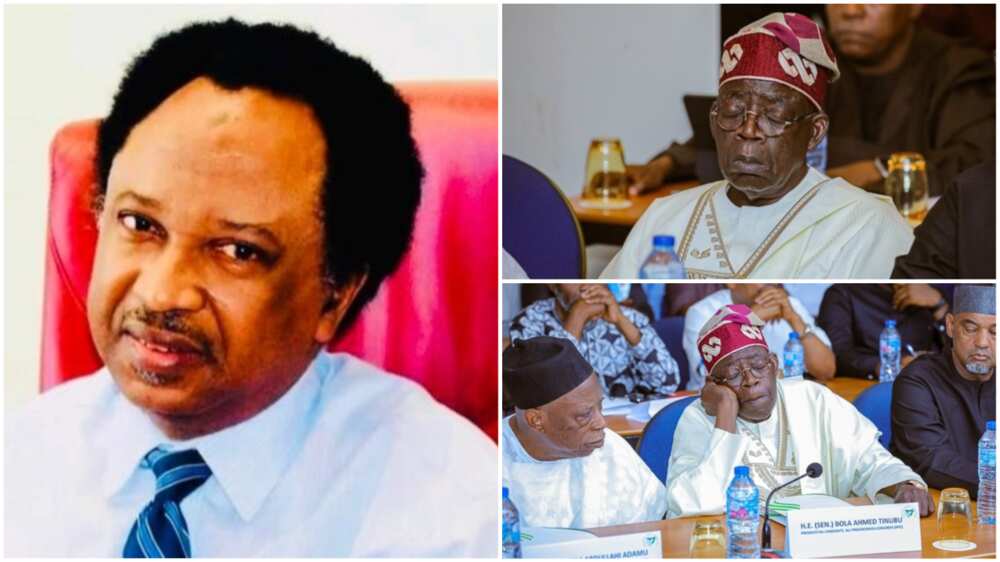 Shehu Sani Reacts To '114% Rise' In Tinubu, Shettima Salaries