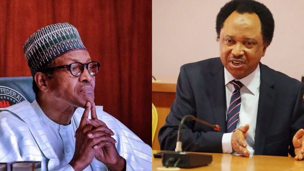 Shehu Exposes Buhari Government