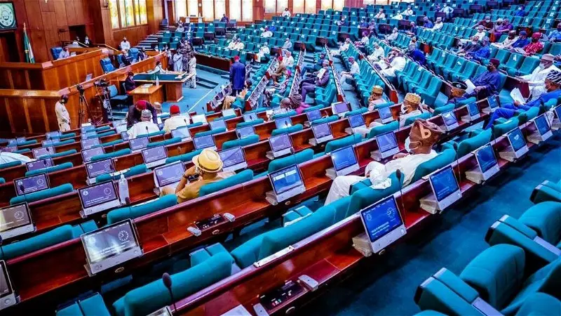10th NASS: Ali Isah emerges consensus candidate for minority whip