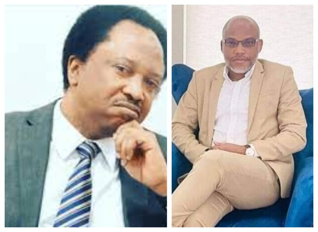 We should respect the law – Shehu Sani supports call for Nnamdi Kanu’s freedom