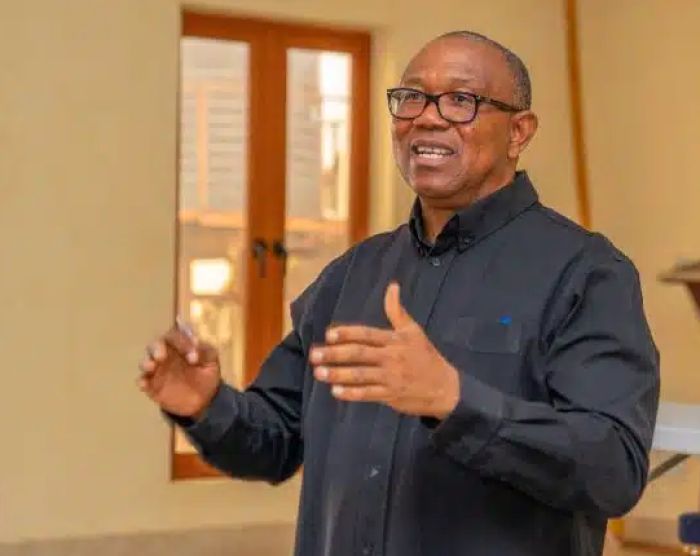 June 12: Nigeria’s democracy deeply troubled - Peter Obi