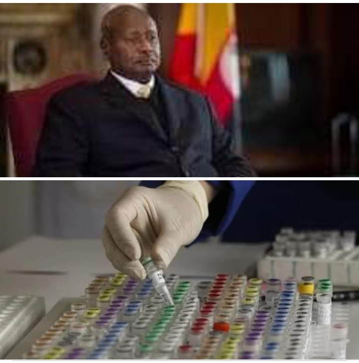 The number of Ugandan men seeking DNA tests has increased by 70% - Source