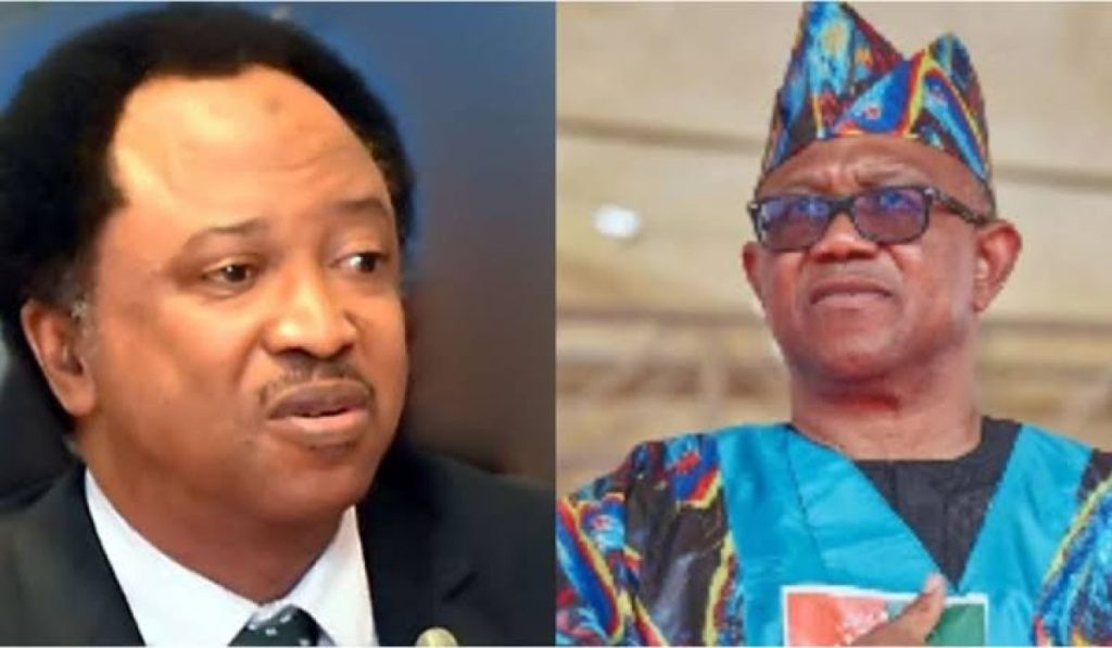 Peter Obi: South East Is Only Toeing The Line Of History – Shehu Sani