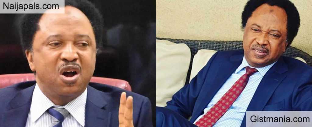 Sweden’s s3x sport: Don’t bring it to Nigeria - Shehu Sani warns