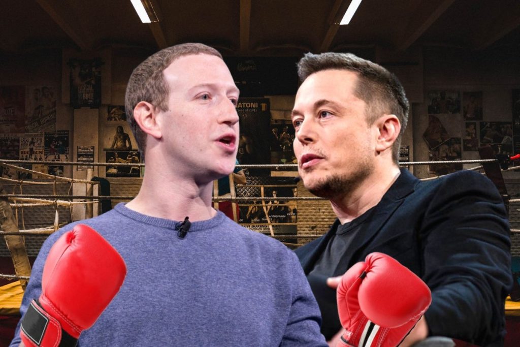 Elon Musk, Zuckerberg Agree To 'Cage Fight'