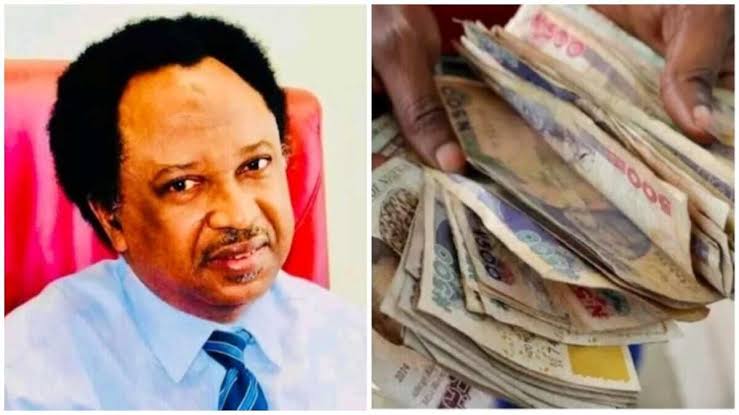 It Is Time For Nigeria To Discard The Naira – Shehu Sani