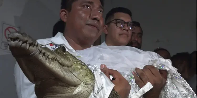 Mexican Mayor Marries Female Reptile, Kisses It [PHOTOS]