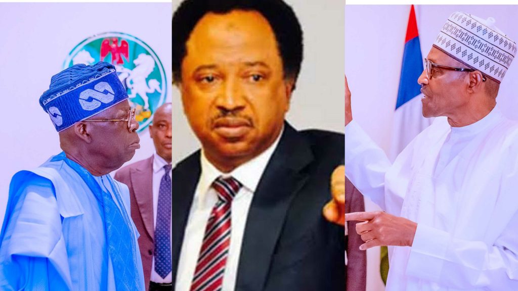 Buhari’s N10k brought poverty, pray before accepting Tinubu’s N8k – Shehu Sani to Nigerians