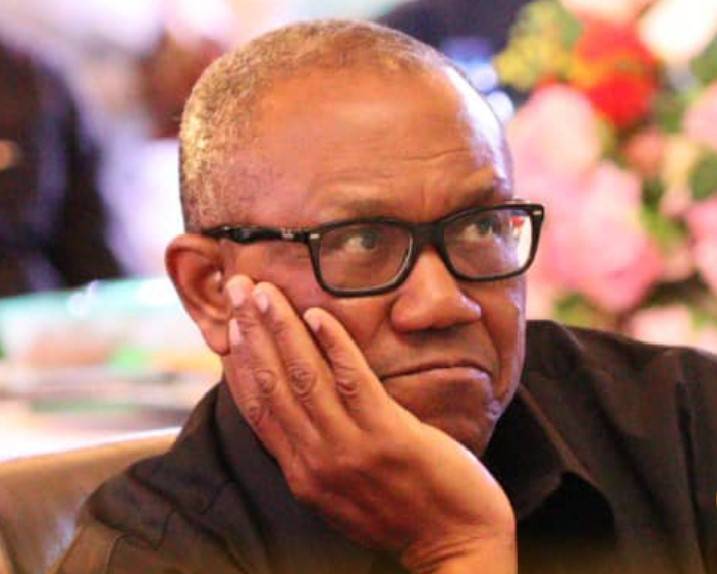 I Honestly Pity Peter – Buhari’s Ex-aide Calls Out Obi for Deleting Tweet Calling Tinubu President