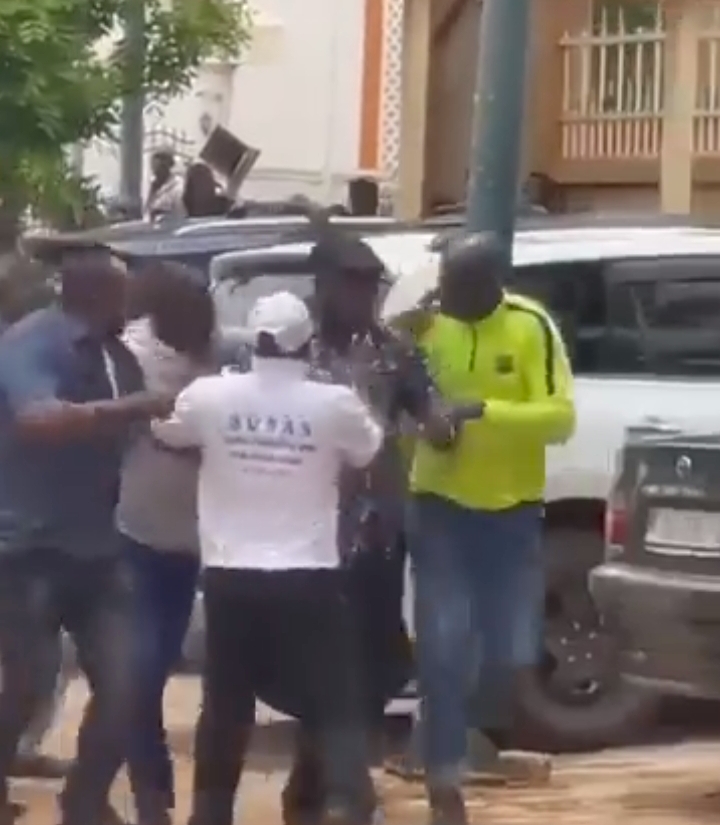 Citizens Attack Politicians, Loot Properties In Niger Republic (Videos)