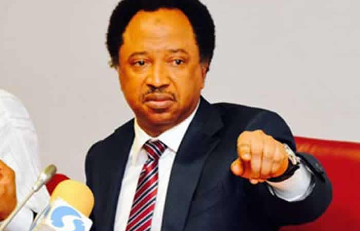 Mmesoma: Go Ahead And Cast The First Stone – Shehu Sani Sends Message To Nigerian Leaders