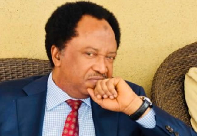 The rich are in Noah’s ark, the poor are in Titanic’ – Shehu Sani speaks on economic hardship