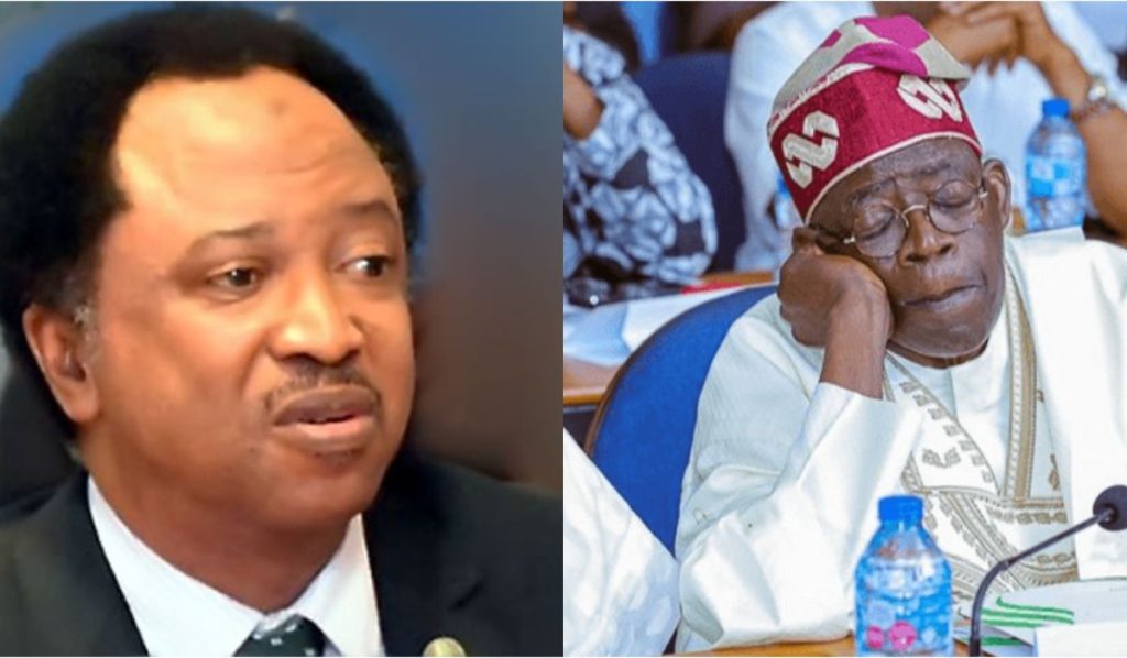 You Will Regret It – Shehu Sani Sends Strong Warning To Tinubu’s Govt, Against Dialoguing With Bandits